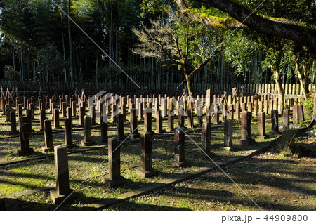 西南戦争関連遺跡、七本官軍墓地 西南戦争関連遺跡、七本官軍墓地 44909800