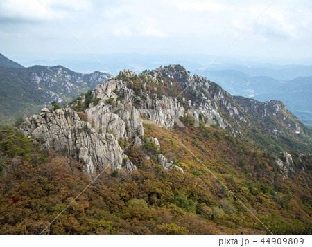 陜川郡 慶南 44909809