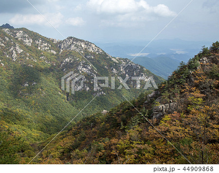 陜川郡 慶南 44909868