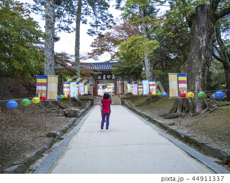 海印寺 陜川郡 慶南 44911337