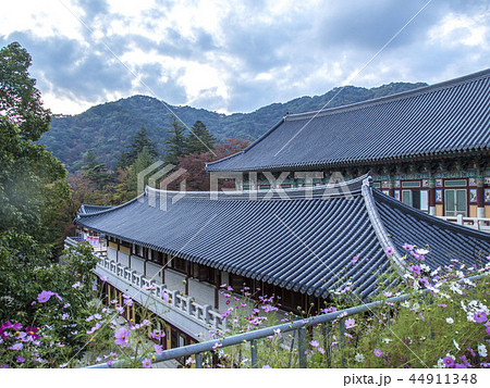 海印寺 陜川郡 慶南 44911348