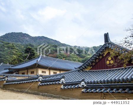 海印寺 陜川郡 慶南 44911352