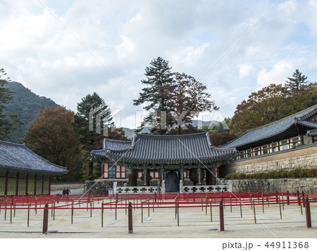 海印寺 陜川郡 慶南 44911368