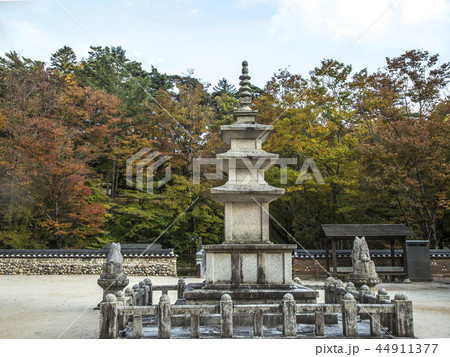 海印寺 陜川郡 慶南 44911377