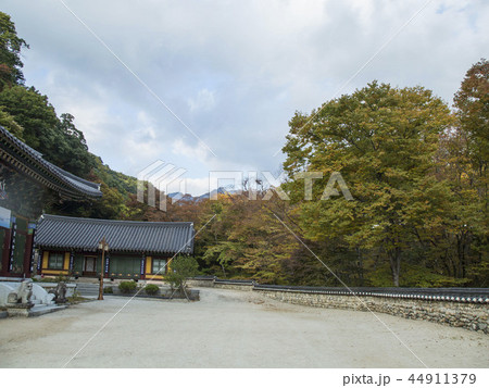 海印寺 陜川郡 慶南 44911379