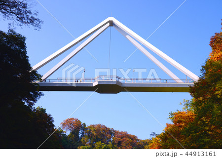 はねたき橋 44913161