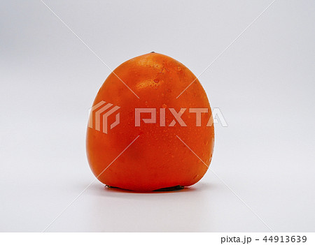 感 横 静物 44913639