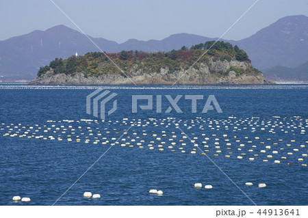 統営 慶南 横 44913641