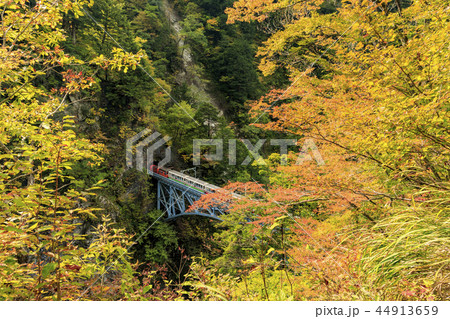 黒部峡谷　トロッコ鉄道 44913659