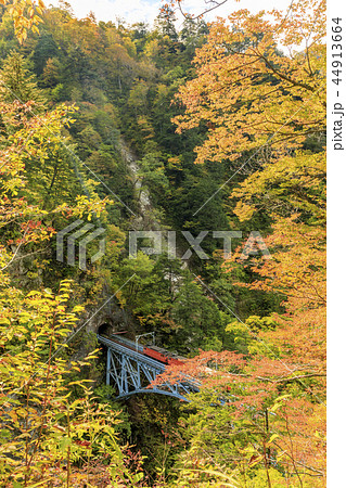 黒部峡谷　トロッコ鉄道 44913664