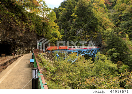 黒部峡谷 トロッコ鉄道 黒部峡谷 トロッコ鉄道 44913671
