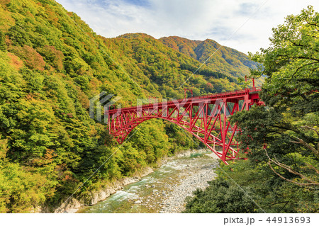 黒部峡谷　トロッコ鉄道 44913693