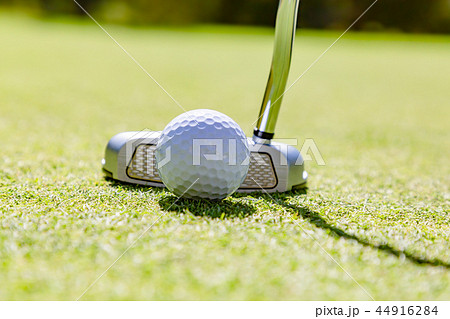 新緑のゴルフ場 新緑のゴルフ場 44916284