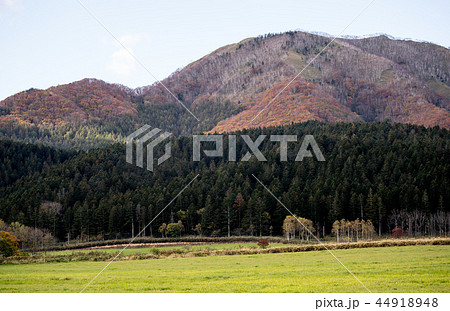 北海道　紅葉 44918948