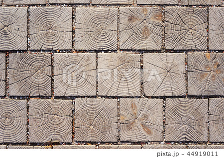 Wooden cross section texture. Pavement blocks. 44919011