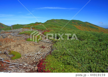 秋の北大雪 44919159