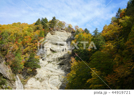 日本百景：奥裾花渓谷 絶壁の紅葉　長野市鬼無里 44919721