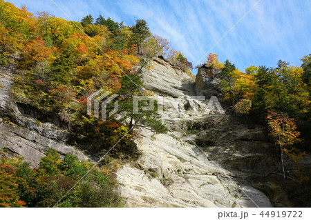 日本百景：奥裾花渓谷 絶壁の紅葉　長野市鬼無里 44919722