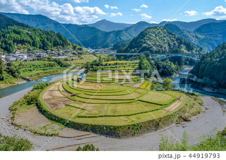 あらぎ島　和歌山県有田町のシンボル景観 44919793
