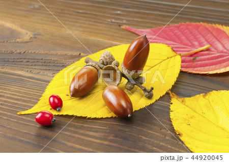 秋イメージ 44920045