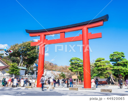 鎌倉 鶴岡八幡宮 三の鳥居 鎌倉 鶴岡八幡宮 三の鳥居 44920065