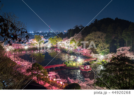 茂原公園 夜桜ライトアップと街並み夜景 千葉県茂原市 18年3月撮影の写真素材