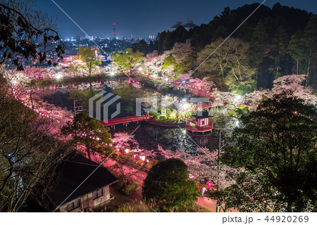 茂原公園 夜桜ライトアップと街並み夜景 千葉県茂原市 18年3月撮影の写真素材