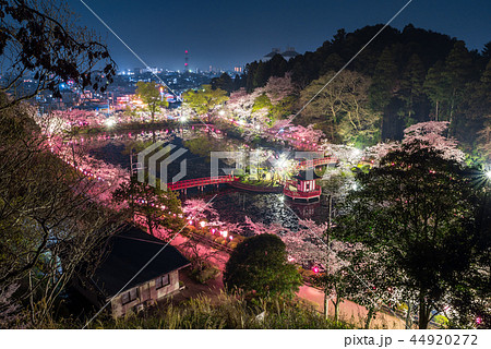 茂原公園 夜桜ライトアップと街並み夜景 千葉県茂原市 18年3月撮影の写真素材