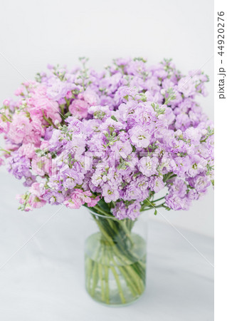 Bouquet of Beautiful lilac color gillyflower, levkoy or matthiola. Spring flowers in vase on wooden 44920276