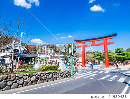 鎌倉 鶴岡八幡宮 三の鳥居の写真素材