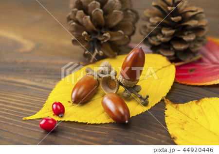 秋イメージ 44920446