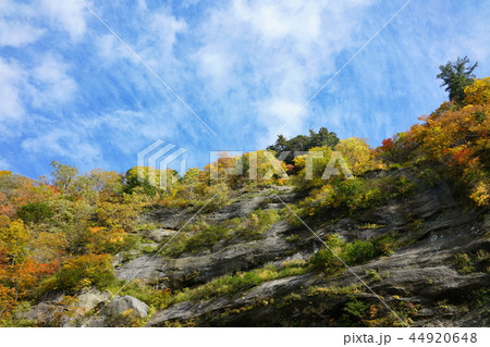 日本百景：奥裾花渓谷 絶壁の紅葉　長野市鬼無里 44920648