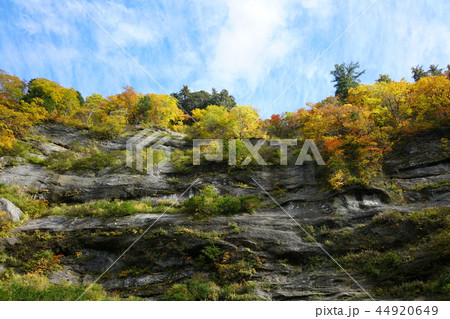 日本百景：奥裾花渓谷 絶壁の紅葉　長野市鬼無里 44920649