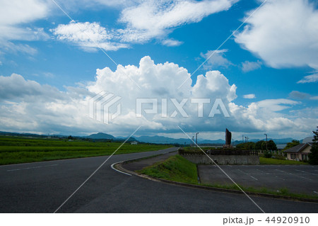 大山の夏 44920910