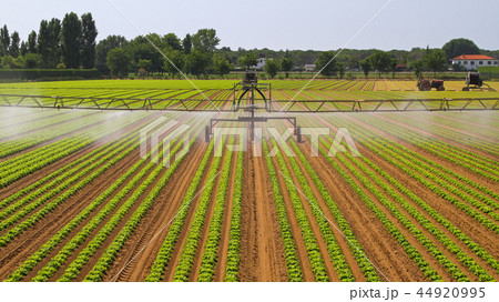 Water Irrigation Sprinkler 44920995