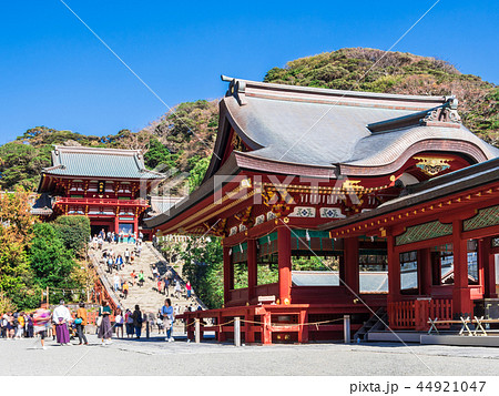 鎌倉 鶴岡八幡宮 本宮と舞殿 鎌倉 鶴岡八幡宮 本宮と舞殿 44921047