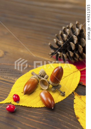 秋イメージ 秋イメージ 44921355