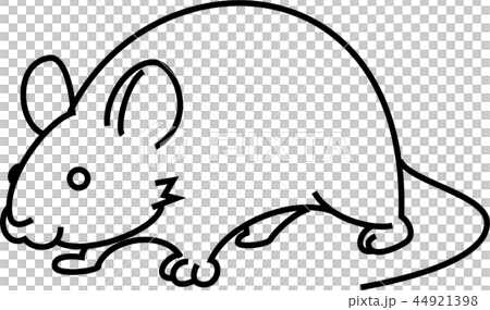 実験用マウスのイラスト素材