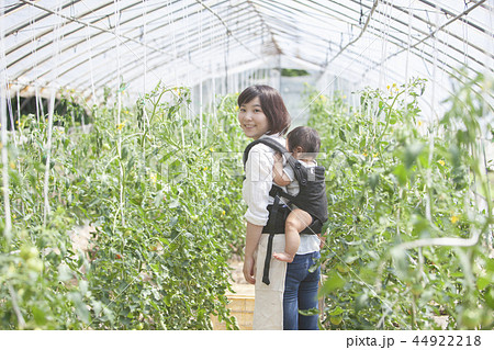 畑の親子 44922218