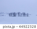 雪の林 44922328