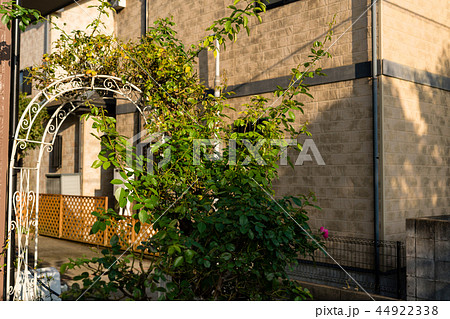 住宅　ガーデニング 44922338