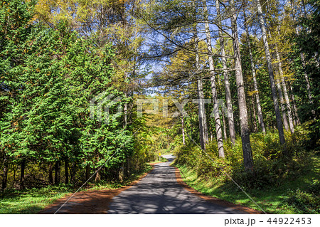 長野県　塩尻市　高ボッチスカイライン 44922453