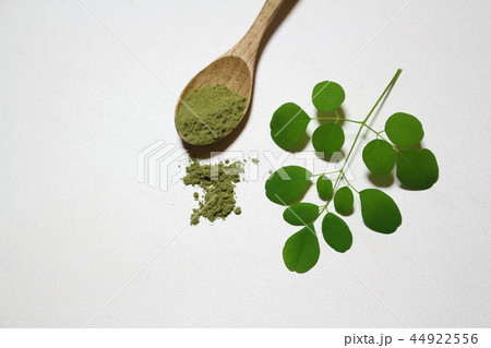 モリンガ 44922556