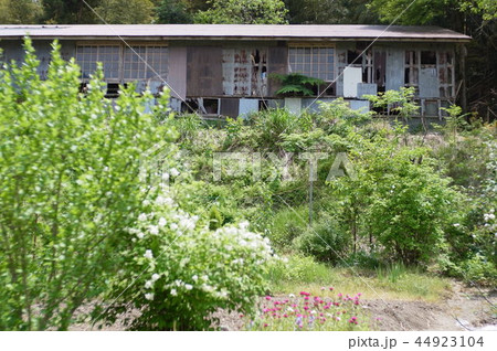 廃屋 44923104
