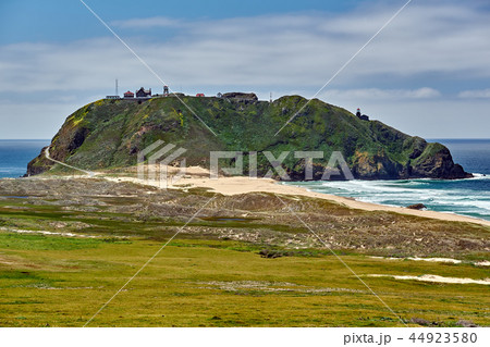 Pacific coast landscape in California 44923580