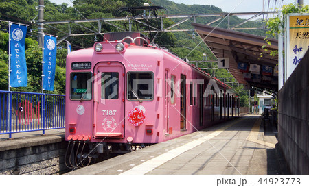 南海　めでたい電車 44923773