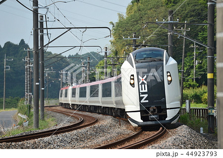 成田エクスプレス 成田エクスプレス 44923793