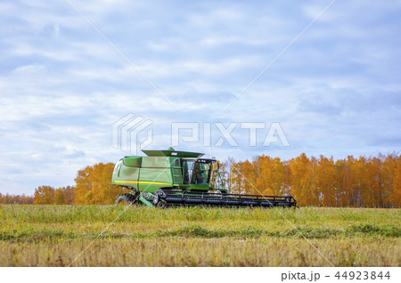 Harvester rides across field on background of sky 44923844