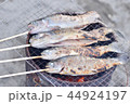 釣り後の魚の網焼き串焼き 44924197