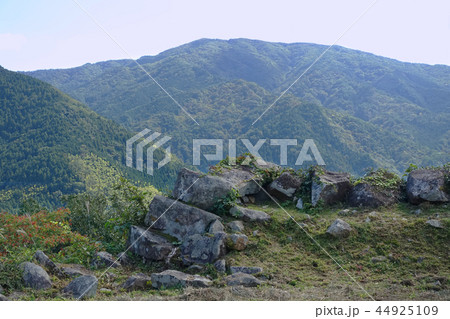 津和野の町並み(津和野城からの展望) 津和野の町並み(津和野城からの展望) 44925109